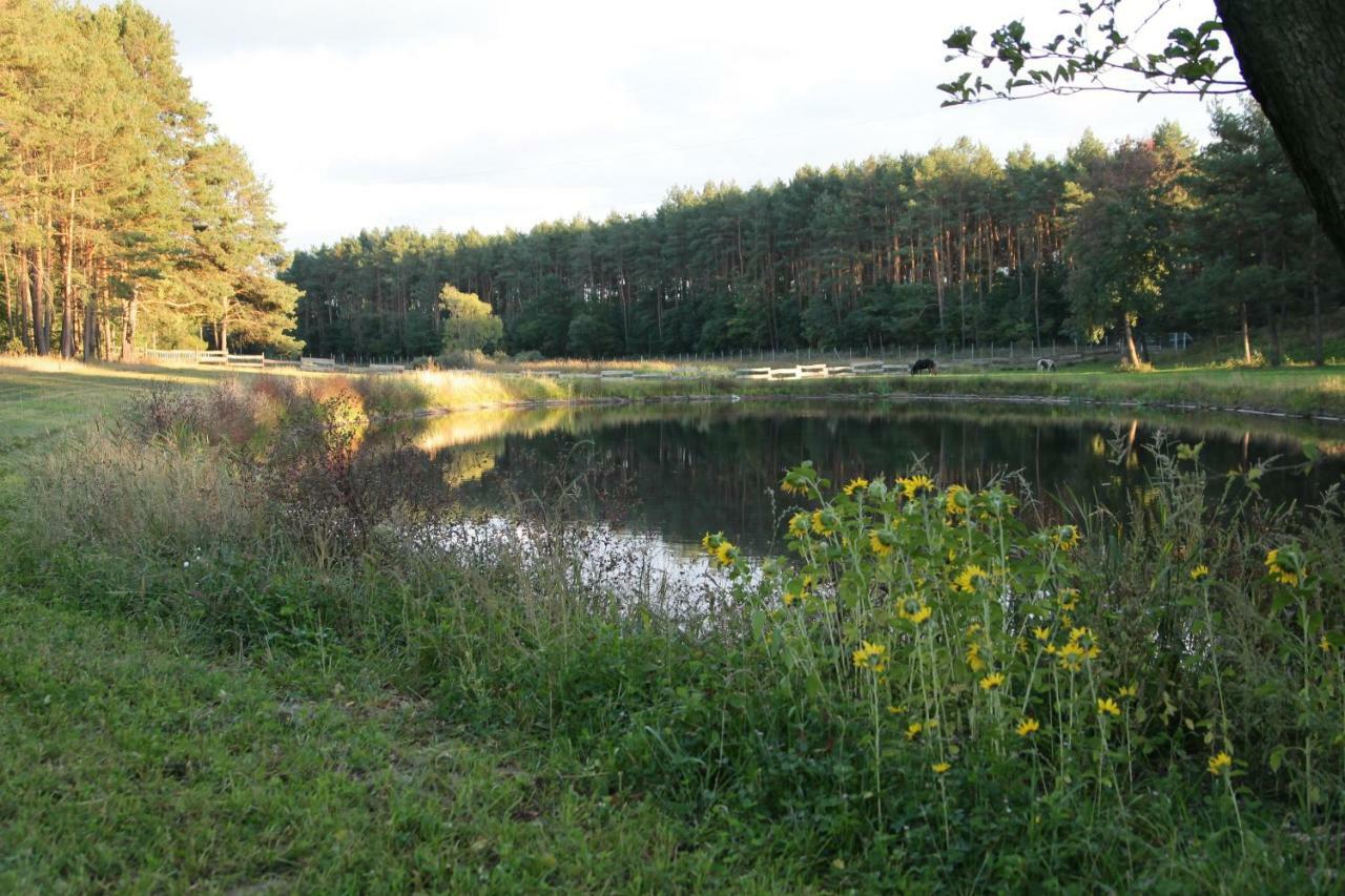 Quatro Osrodek Jezdziecki - Gospodarstwo Agroturystyczne Pobiedziska Exterior foto